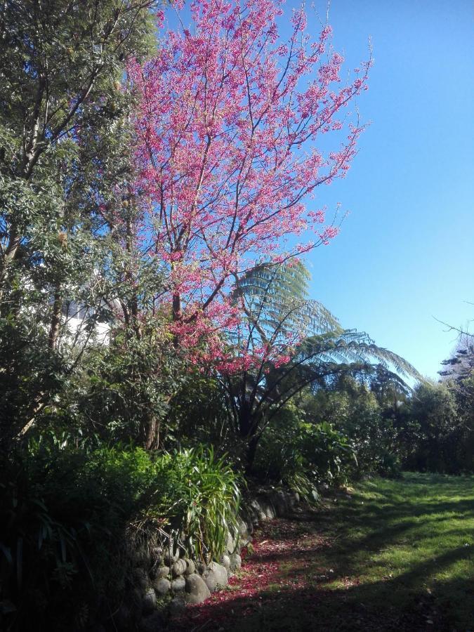 Purple Hen Country Lodge Katikati Exterior foto