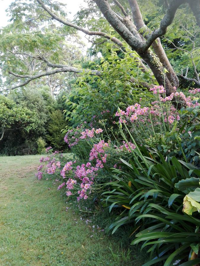 Purple Hen Country Lodge Katikati Exterior foto